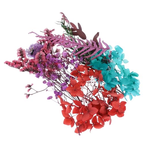 Cabilock 1 Schachtel Getrocknetes Blumenmaterialpaket handgemachtes Blumenmaterial echte getrocknete gepresste Blumen DIY gepresste Herbariumblume getrocknete Blumen Violett von Cabilock