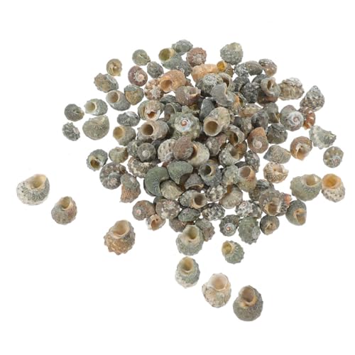Cabilock 100 Stück Natürliche Conch Muscheln Dekorative Aquarium Ornamente für Fischbehälter Teich und Große Jakobsmuscheln als Ersatzschalen für von Cabilock