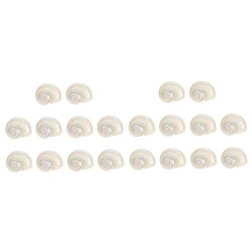 Cabilock 2 Sätze Aquarium Muschel Muschelschalen Dekoration Mit Nautischen Muscheln Aquarium Dekoration Schneckenhäuser Für Aquarium Natürliche Muschel Natur-Muschel- Weiß 10 Stück * 2 von Cabilock