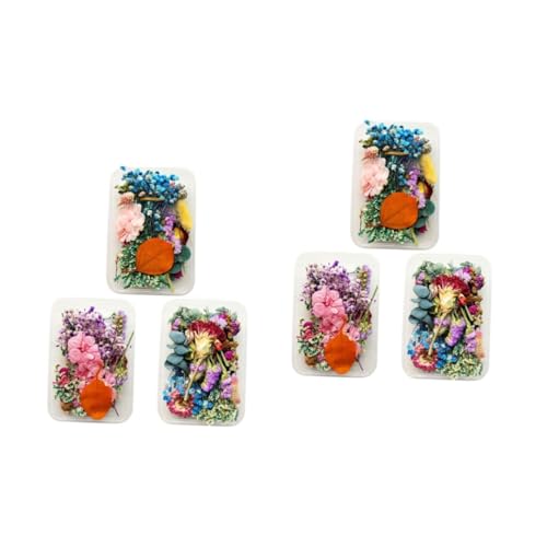 Cabilock 2 Sätze DIY Getrocknete Blumen Boxen Mit Natürlichen Dried Flowers Für Resin Scrapbooking Und Dekoration Echte Blumen Für Kreative Projekte 3boxen*2 von Cabilock