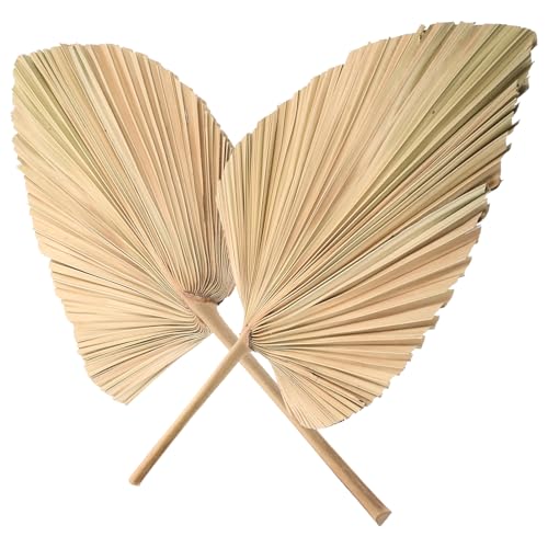 Cabilock 2 Stück Getrocknete Palmblätter Hochzeits Palmblätter Outdoor Palmblatt Fächer Gefälschter Handfächer Palmenschirm Zahnstocher Topper Beleuchteter Palmenstrauß Cabilock 2 Stück Getrocknete Palmblätter Hochzeits Palmblätter Outdoor Palmblatt Fächer Gefälschter Handfächer Palmenschirm Zahnstocher Topper Beleuchteter Palmenstrauß von Cabilock