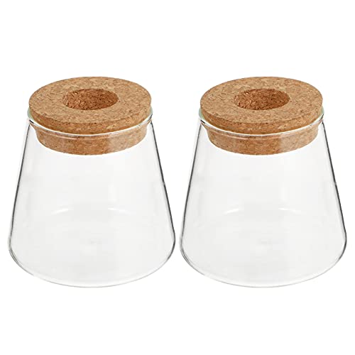 Cabilock 2Pcs Glas Pflanzer Hydro Vase mit Holz Deckel Pflanzer Birne Glas Vase Propogation Station für Hydrokultur Pflanzen Home Büro Garten Dekoration von Cabilock