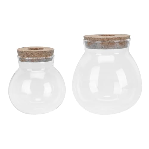 Cabilock 2Pcs Wasser Pflanzen Vase Glas Hydrokultur Vase Hydrokultur Pflanzer Geprägte Klarglas Flasche Home Dekorationen Cabilock 2Pcs Wasser Pflanzen Vase Glas Hydrokultur Vase Hydrokultur Pflanzer Geprägte Klarglas Flasche Home Dekorationen von Cabilock
