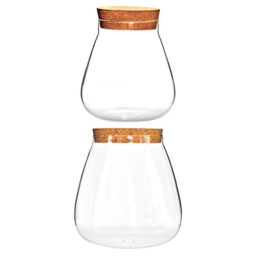 Cabilock 2st Flasche Aus Korkglas Glas Mit Korken Küche Lagerung Gl? Glas Terrarium Sukkulenten Terrarium Kaffee Jar Durchstechflaschen Runde Kork Glas Flasche Knospe Lebensmittel Cabilock 2st Flasche Aus Korkglas Glas Mit Korken Küche Lagerung Gl? Glas Terrarium Sukkulenten Terrarium Kaffee Jar Durchstechflaschen Runde Kork Glas Flasche Knospe Lebensmittel von Cabilock