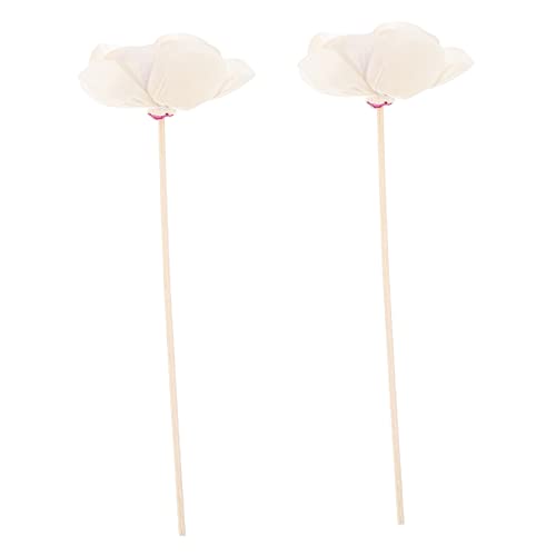 Cabilock 2st Getrocknetes Blumenrattan Diffusor Brenner Körper Luftbefeuchter Aromatherapie Nasal Raumduftzubehör Aufsehen Lichtung Passiv Duftend Nachfüllungen Werkzeug Rattanstöcke Cabilock 2st Getrocknetes Blumenrattan Diffusor Brenner Körper Luftbefeuchter Aromatherapie Nasal Raumduftzubehör Aufsehen Lichtung Passiv Duftend Nachfüllungen Werkzeug Rattanstöcke von Cabilock