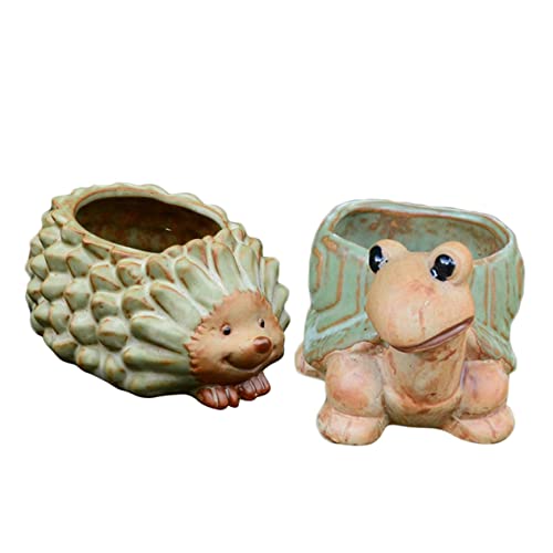 Cabilock 2 Stück Keramik Blumentopf Tierform Schildkröte Igel Kreativer Pflanzenhalter Für Sukkulenten Dekorative Blumentöpfe Für Innenräume Lichtecht Und Pflegeleicht von Cabilock