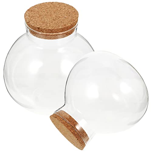 Cabilock 2stücke Glas Terrarium Flasche Mit Korkverschluss Sphärische Aufbewahrungsgläser Für Mooslandschaften Und Dekoration Für Wohnzimmer Büro Und Kreative Projekte von Cabilock