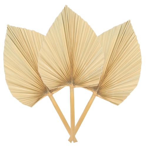 Cabilock 3 Stück Getrocknete Palmblätter Natürliche Deko für Hochzeit Tischdeko Tropische Blumenarrangements Fensterdeko Wandkunst aus Premium palmenblättern Cabilock 3 Stück Getrocknete Palmblätter Natürliche Deko für Hochzeit Tischdeko Tropische Blumenarrangements Fensterdeko Wandkunst aus Premium palmenblättern von Cabilock