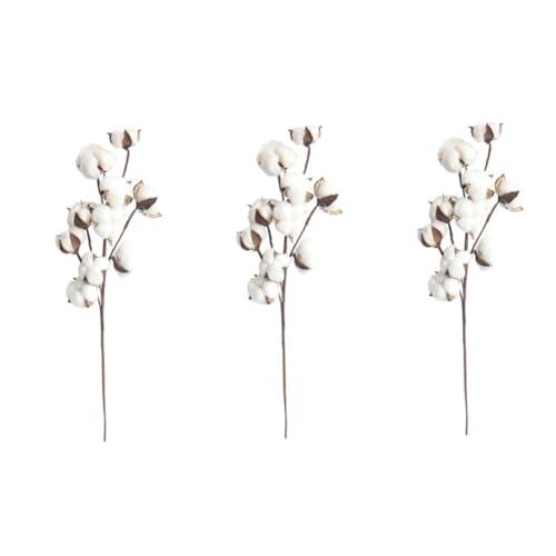 Cabilock 3stücke Köpfe Getrocknete Baumwollstiele Verstellbar Für Hochzeitsdekoration Künstliche Blumen Im Landhausstil Füllung Für Vasen Und Kränze Natürliche Baumwolle Und Rayon von Cabilock