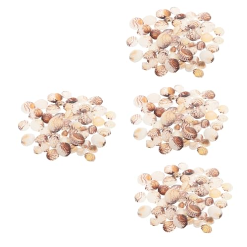 Cabilock 4 Stück 1 Muscheldekoration Muscheln Mini schmücken Tank thematisiert mit bastelideen bastelmaterial Muschel Ornament Muschelornamente zum Dekorieren Schalen für das Handwerk Hülse von Cabilock