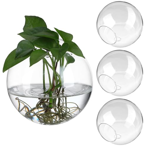 Cabilock 4 Stücke Wandbehang Glas Pflanzgefäße Blumenvase Wandvasen Pflanzen Hydrokultur Vase Wand Glasvase Konische Vase Hängender Blumentopf Pflanztopf Kaktus Sukkulenten Topf Garten Deko von Cabilock