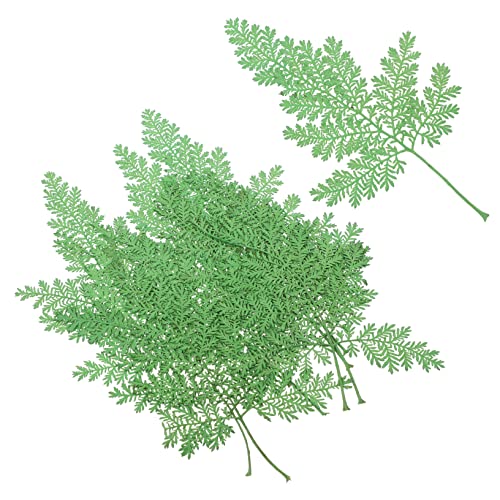 Cabilock 48 Stück Teiliges Gepresste Getrocknete DIY Bastelmaterial Natürliche Dekorative Pflanzenblätter für Schmuck Harzkunst Grußkarten und Kreative Handarbeiten Cabilock 48 Stück Teiliges Gepresste Getrocknete DIY Bastelmaterial Natürliche Dekorative Pflanzenblätter für Schmuck Harzkunst Grußkarten und Kreative Handarbeiten von Cabilock