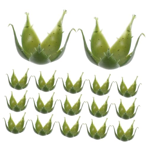 Cabilock 50 Stück Künstliche Blütenkelche Grüne Große Kelchblätter für DIY Rosenblumen Stabile Unterstützung Wiederverwendbar für Blumenarrangements Hochzeits und Partydekoration Cabilock 50 Stück Künstliche Blütenkelche Grüne Große Kelchblätter für DIY Rosenblumen Stabile Unterstützung Wiederverwendbar für Blumenarrangements Hochzeits und Partydekoration von Cabilock