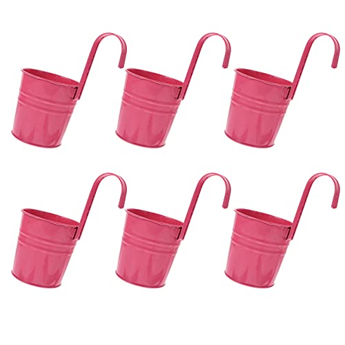 Cabilock 6Pcs Hängender Blumentopf Metall Blumentöpfe Blumeneimer Hängetopf Wand Pflanzer mit Ablaufloch Metall Vase Pflanztöpfe Pflanzgefäße Balkontopf Übertopf für Zuhause Garten Balkon Rose von Cabilock