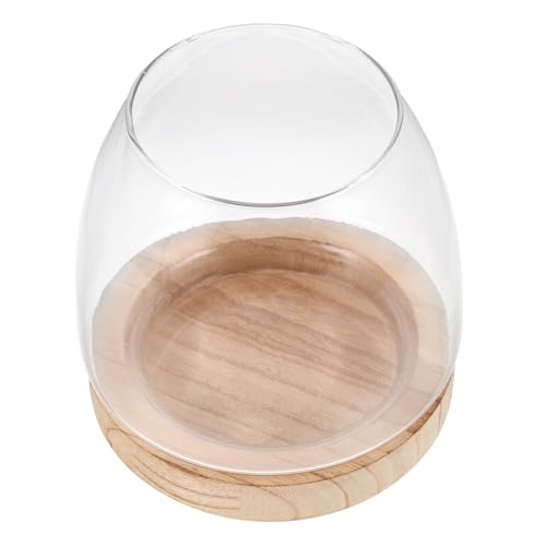 Cabilock Glas-Fischglasvase: Mikro-Landschafts-Hydrokultur-Anzuchtvase, Aquarium-Dekoration – transparentes kleines Desktop-Aquarium für Betta von Cabilock