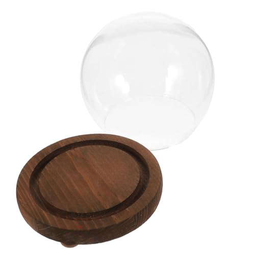 Cabilock Glasglocke Kugelförmig mit Holzsockel Staubschutz Glasblumenglocke für Dauerblumen Dekorative Glaskuppel Vitrine Langlebige Glas Abdeckung Geschenkidee für Zuhause und Büro von Cabilock