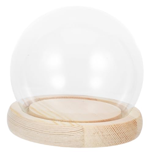 Cabilock Glaskuppel Deko Kugelform mit Holzsockel Transparente Glasglocke Display Case Staubdichte Cloche für Dekoration Mikrolandschaft und Konservierte Blumen Eleganter Tischaufsatz von Cabilock