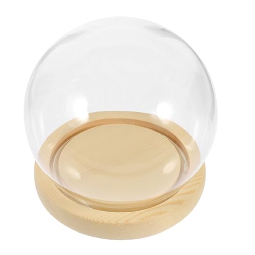 Cabilock Glaskuppel mit Holzsockel Dekorative Glasvitrine für Blumen Pflanzen Diy Kunsthandwerk Schützende Staubhaube Transparentes Miniatur Display für Lichterketten und Sammlerstücke von Cabilock