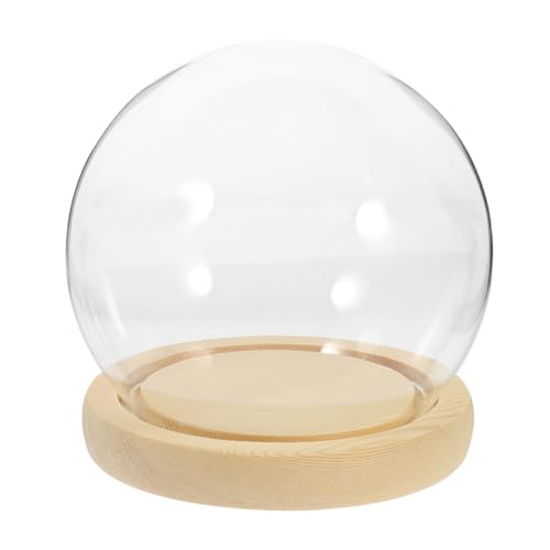 Cabilock Glaskuppel mit Robustem Holzsockel Dekorative Glasvitrine für Blumen Sukkulenten Miniaturen Schneekugel Schutz und Stilvolles Display für Wohnzimmer Schreibtisch Geschenkideen Cabilock Glaskuppel mit Robustem Holzsockel Dekorative Glasvitrine für Blumen Sukkulenten Miniaturen Schneekugel Schutz und Stilvolles Display für Wohnzimmer Schreibtisch Geschenkideen von Cabilock