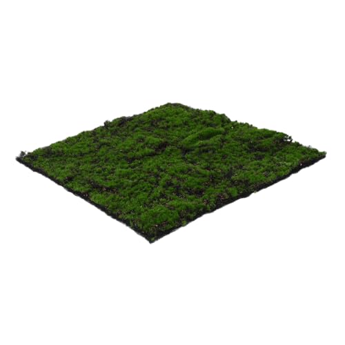 Cabilock Künstliche Moosmatte Realistische Weiche Dekoration für DIY Basteln Miniaturgärten Blumenarrangements Vielseitig für Wohnkultur und Wanddeko Geeignet von Cabilock