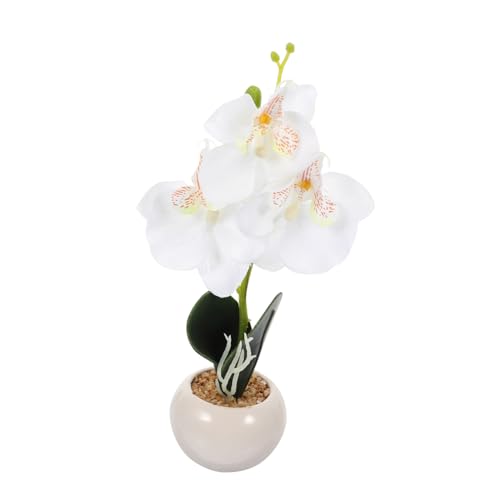 Cabilock Künstlicher Phalaenopsis Bonsai Realistische Simulation Weißer für Tischdekoration Pflegeleicht Langlebig für Wohnzimmer Büro Küche und Regale Cabilock Künstlicher Phalaenopsis Bonsai Realistische Simulation Weißer für Tischdekoration Pflegeleicht Langlebig für Wohnzimmer Büro Küche und Regale von Cabilock