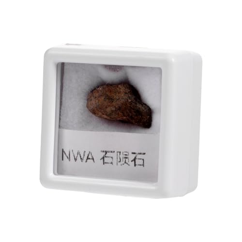 Cabilock Meteoritenexemplar Olivenmeteoritenstein Unregelmäßige Form Einzigartiges Dekorations Lehrstück Für Weltraumfans Ca Farblich Sortierter Aufbewahrungsbox Zufällige Zufällige Farbe Cabilock Meteoritenexemplar Olivenmeteoritenstein Unregelmäßige Form Einzigartiges Dekorations Lehrstück Für Weltraumfans Ca Farblich Sortierter Aufbewahrungsbox Zufällige Zufällige Farbe von Cabilock