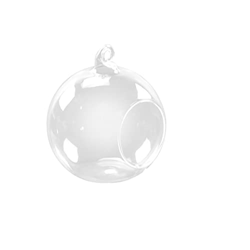 Cabilock Hängende Pflanzvase Aus Glas Zimmerpflanzen-zubehör Zur Dekoration Zum Gestalten Eines Mini-gartens Cabilock Hängende Pflanzvase Aus Glas Zimmerpflanzen-zubehör Zur Dekoration Zum Gestalten Eines Mini-gartens von Cabilock