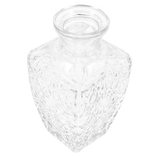 Cabilock Weinflasche Mini-terrarium Flasche Zum Selber Brauen Trockener Blumentopf Schnapsflasche Mini-vase Blumenvase Klare Vase Flasche Für Schnaps Tischvase Posieren Mann Glas Einfach Cabilock Weinflasche Mini-terrarium Flasche Zum Selber Brauen Trockener Blumentopf Schnapsflasche Mini-vase Blumenvase Klare Vase Flasche Für Schnaps Tischvase Posieren Mann Glas Einfach von Cabilock