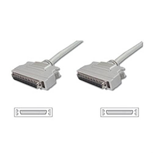 Cable Company Fast SCSI SCSI (Grau, 0,90 m, Male Connector/Male Connector) von Cable
