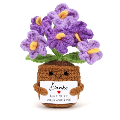 Cadimus Positive Blume,Kleines Dankeschön Geschenk,Kleine Gestrickte Blume Lila,Lustige Häkelblumen Pocket Hug,Handgemachte Gehäkelte Blumen,Danke Geschenk für Freunde Kollegen Familie Freundin Cadimus Positive Blume,Kleines Dankeschön Geschenk,Kleine Gestrickte Blume Lila,Lustige Häkelblumen Pocket Hug,Handgemachte Gehäkelte Blumen,Danke Geschenk für Freunde Kollegen Familie Freundin von Cadimus