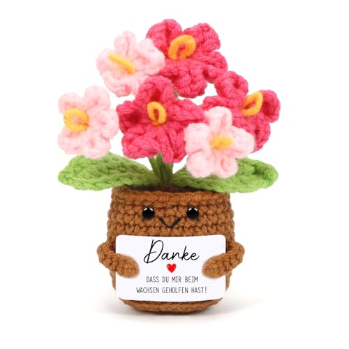 Cadimus Positive Blume,Kleines Dankeschön Geschenk,Rosa Kleine Gestrickte Blume,Lustige Häkelblumen Pocket Hug,Handgemachte Gehäkelte Blumen,Danke Geschenk für Freunde Kollegen Familie Freundin von Cadimus