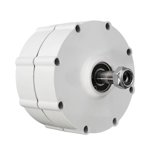 800W Permanentmagnet Generator 12V 24V 48V – 3-Phasen Getriebeloser Dynamo für Windkraftanlage DIY & Freie Energie Projekte (without-48V) von Cadinor