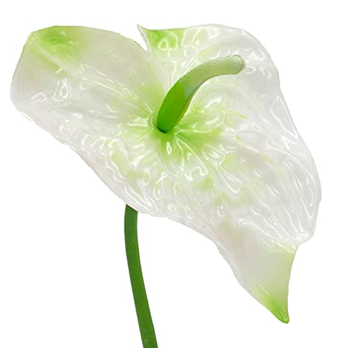 Cadofe Anthurium Creme Blatt LUVINA, 60cm - Kunstblatt Deko Blatt Kunstblume 12-6454-27 von Cadofe