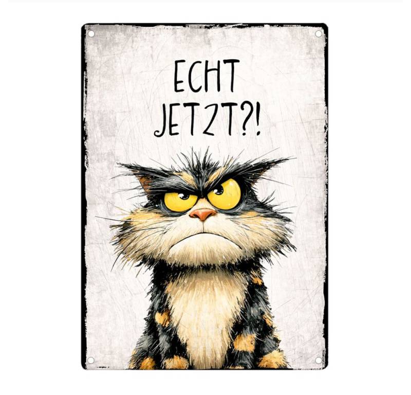 Cadouri Metallschild ECHT JETZT?! - Dekoschild mit Spruch, Blechschild, (1 St., Wandschild mit vier vorgebohrten Löchern), UV-beständig, 28,5 x 20 cm, abgerundete Ecken, humorvolle Geschenkidee von Cadouri