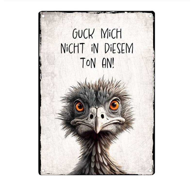 Cadouri Metallschild GUCK MICH NICHT IN DIESEM TON AN - Dekoschild mit Spruch, Blechschild, (1 St., Wandschild mit vier vorgebohrten Löchern), UV-beständig, 28,5 x 20 cm, abgerundete Ecken, humorvolle Geschenkidee von Cadouri