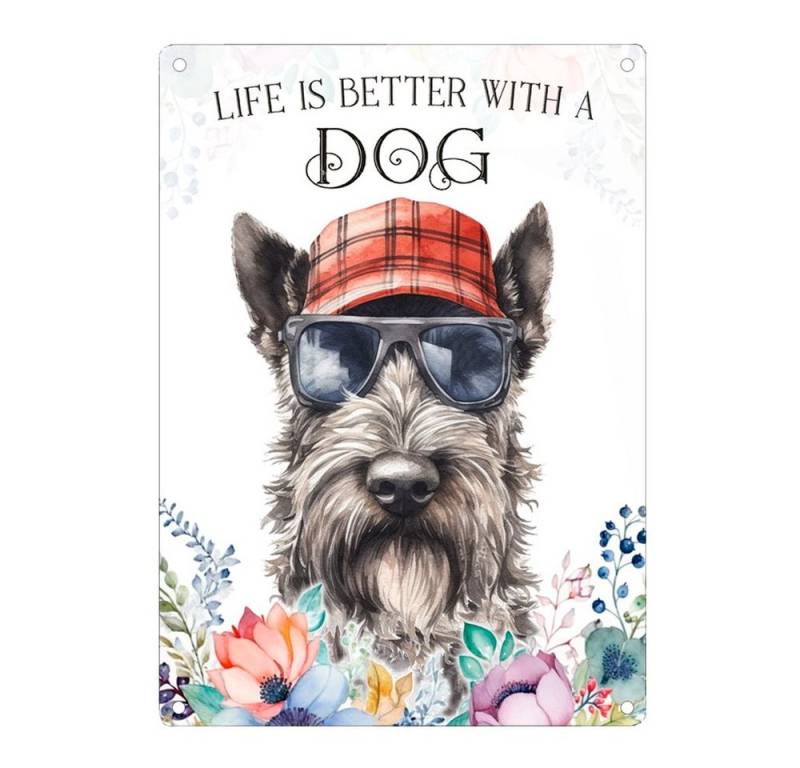 Cadouri Metallschild Hundeschild SCOTTISH TERRIER - Dekoschild mit Hunderasse, Geschenk, (1 St., Wandschild mit vier vorgebohrten Löchern), UV-beständig, 28,5 x 20 cm, abgerundete Ecken, für Hundebesitzer von Cadouri