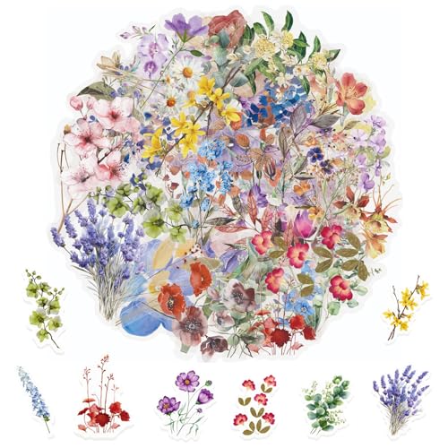 Caelura 104 Stück Scrapbooking Sticker Set, Wasserfeste Sticker Blumen, Transparente PET Aufkleber Blumen, Scrapbook Stickers für DIY Scrapbooking, Laptops, Handyhüllen, Fotoalbum, Wasserflaschen Caelura 104 Stück Scrapbooking Sticker Set, Wasserfeste Sticker Blumen, Transparente PET Aufkleber Blumen, Scrapbook Stickers für DIY Scrapbooking, Laptops, Handyhüllen, Fotoalbum, Wasserflaschen von Caelura