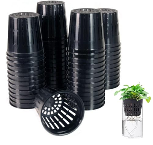 Caiyloxn Hydrokultur Netztöpfe Netztöpfchen 50 Stück Hydroponic System Töpfe Hydrokultur Topf 5cm Kunststoff Hydroponics Net Cup Töpfe für Hydroponics Supplies von Caiyloxn