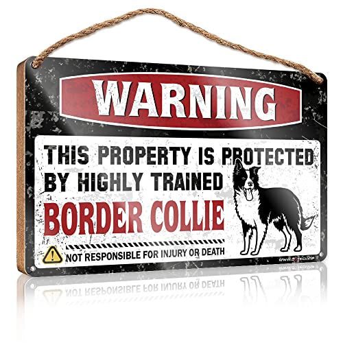 CakJuice Farmhouse Decor Schilder mit Aufschrift "Warning This Property is Protected by A Highly Trained Border Collie", Holzschild, Toilette, Dekoration, Türschild für Haustür außen (Größe: 15 x 28 CakJuice Farmhouse Decor Schilder mit Aufschrift "Warning This Property is Protected by A Highly Trained Border Collie", Holzschild, Toilette, Dekoration, Türschild für Haustür außen (Größe: 15 x 28 von CakJuice