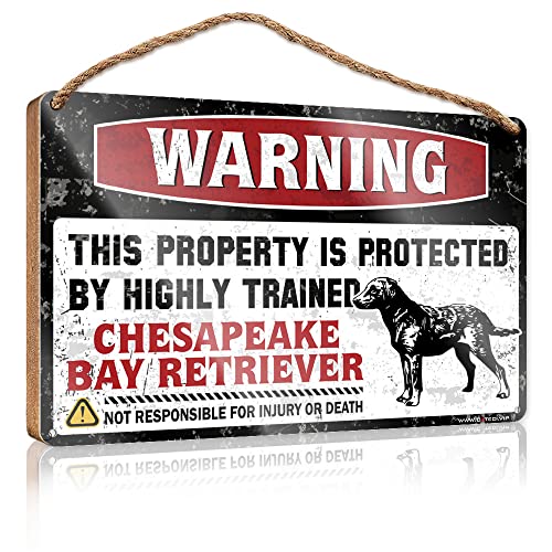 Lustiges Wandschild aus Holz für das Badezimmer, Warnung vor diesem Grundstück ist durch einen Toten von Chesapeake Bay Retriever (Größe: 15 x 28 cm) geschützt von CakJuice
