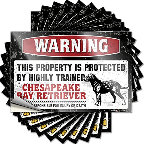 Streich Aufkleber für Erwachsene, Warnung This Property is Protected by A Highly Trained Chesapeake Bay Retriever, lustiger Aufkleber, 10 Stück, Autofensteraufkleber, Mädchen, Autoaufkleber (Größe: 6 von CakJuice