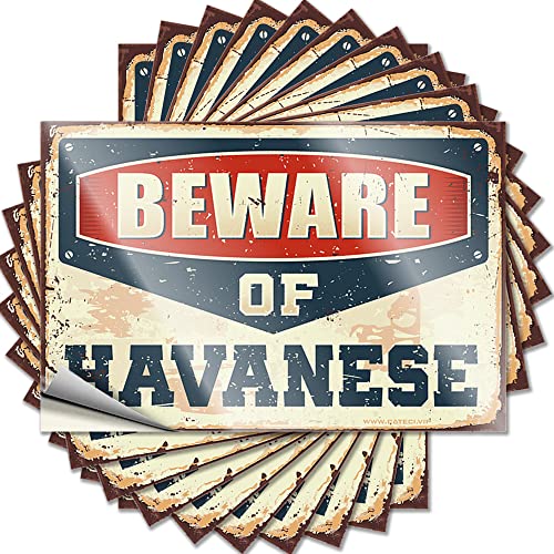 Werkzeug-Aufkleber, Aufschrift "Beware of Havaneser", lustig, 10 Stück, Werkzeug-Aufkleber (Größe: 8 x 12 cm) von CakJuice