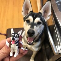 Personalisierter Haustier Kuchen Topper Benutzerdefinierte Miniatur Hund Oder Katze Personalisierter Haustier Kuchen Topper Benutzerdefinierte Miniatur Hund Oder Katze von CakeTopperArtStudio