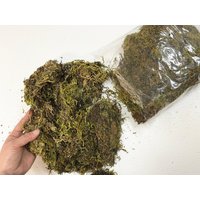 9 Unzen Konserviertes Natürliches Moos Blumendekor, Pflanzenabdeckung von CalCastleCraft