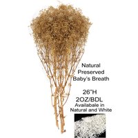 Calcastle Craft Getrockneter Schleierkraut | Getrocknetes Gypsophila Natürliche Braune Farbe Calcastle Craft Getrockneter Schleierkraut | Getrocknetes Gypsophila Natürliche Braune Farbe von CalCastleCraft