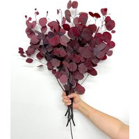 Konservierte Silberdollar Eukalyptus Bündel in Kalifornien Gewachsen, Rot/Grün/Burgundy von CalCastleCraft