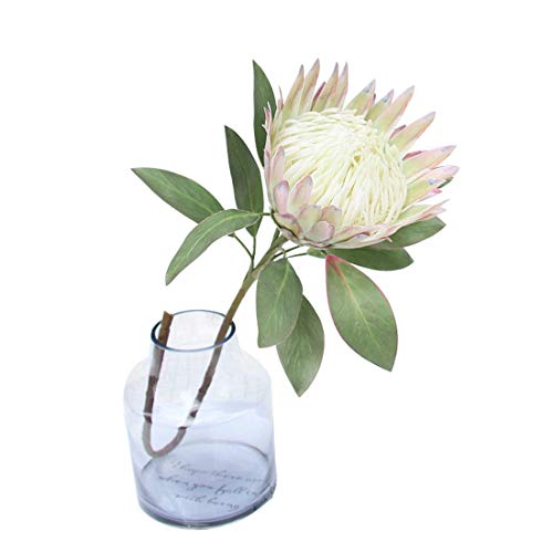 Calcifer 1 Stück 75 cm The King Protea (Protea Cynaroides) Künstliche Blumen Pflanzen für Haus Garten Hochzeit Party Dekoration (Beige, 1) von Calcifer