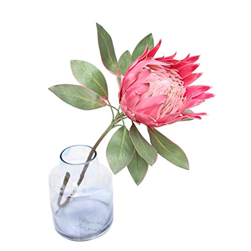 Calcifer 1 Stück 75 cm The King Protea (Protea Cynaroides) Kunstblumen Pflanzen für Haus Garten Hochzeit Party Dekoration (Rose Red, 1) von Calcifer