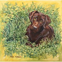 Rubin Sommer von CalebMathewsStudio