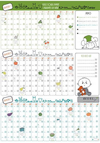 Posterkalender 9 Monate Logbuch Schwangerschaft Tag für Tag von Calendrier Evenement